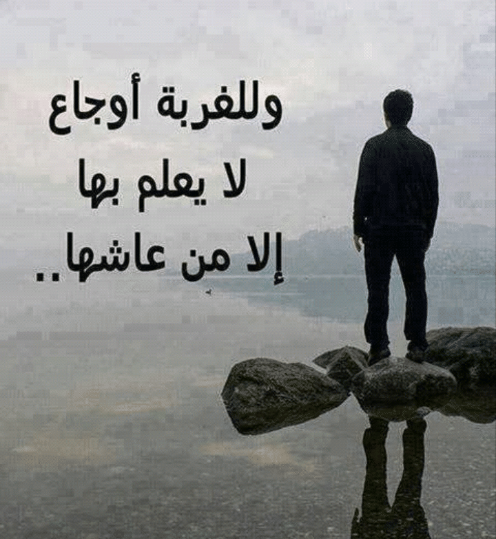 كلام عن الغربة والوحدة