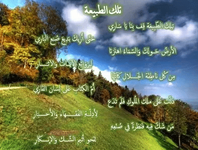 أبيات شعر عن الطبيعة تويتر 1