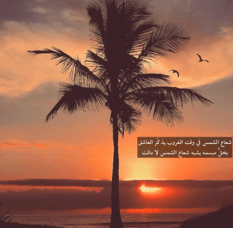 شعر عن غروب الشمس تويتر 5