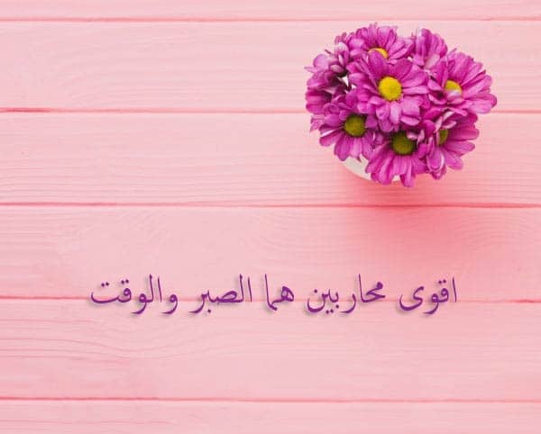 الحياة في سطور