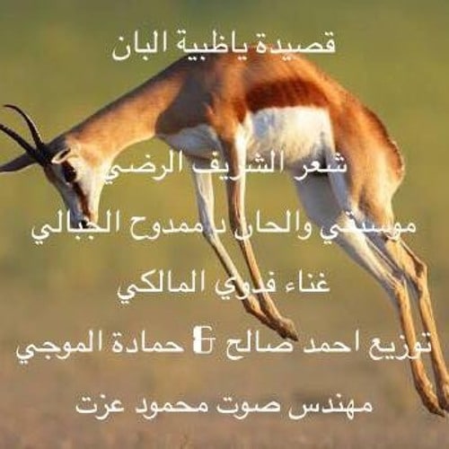 شعـر عن الظبي تويتر 2