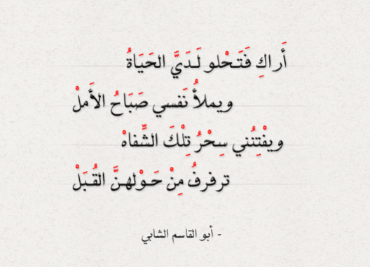 شعر غزل في الشفاه تويتر 3