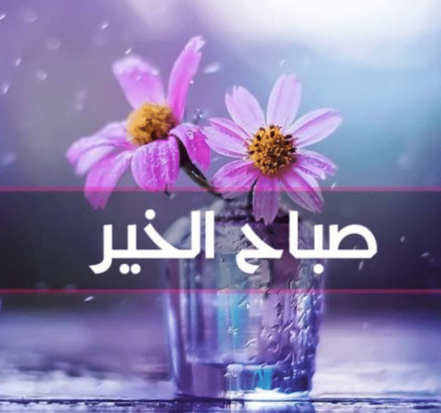 بداية يوم جديد وحياة جديدة
