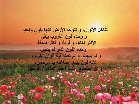 شعر عن غروب الشمس تويتر 3
