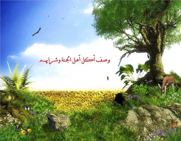 وصف الجنة بالصور 4