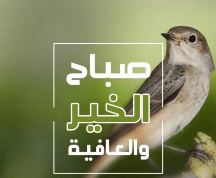 كلمات الصباح والتفائل