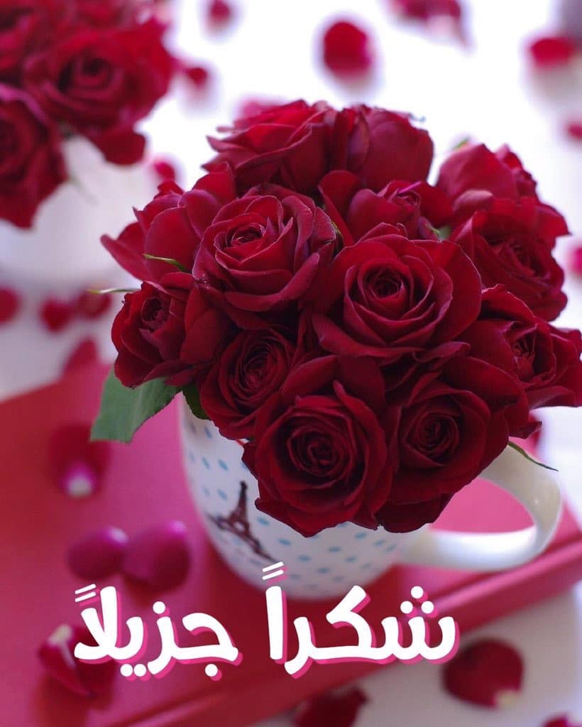 كيف أشكر زوجي بالكلام