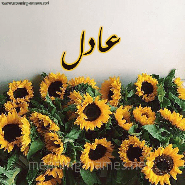بوست باسم عادل1