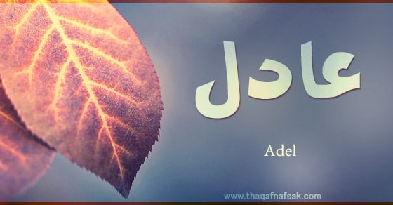 بوست باسم عادل5