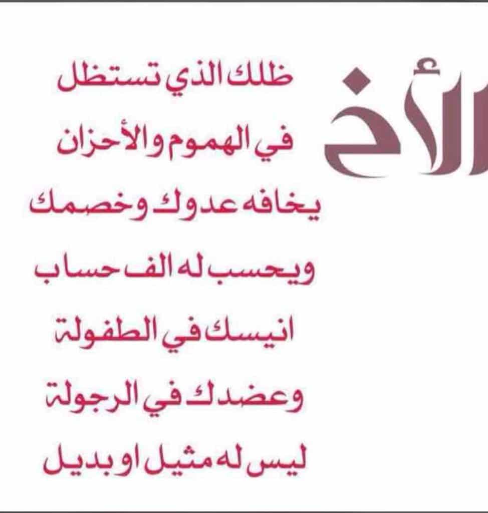 بوستات عن الأخ الكبير3