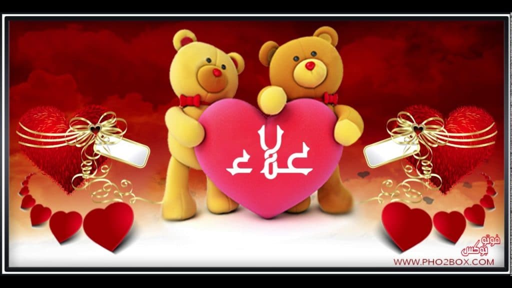 اسم علاء حبيبي
