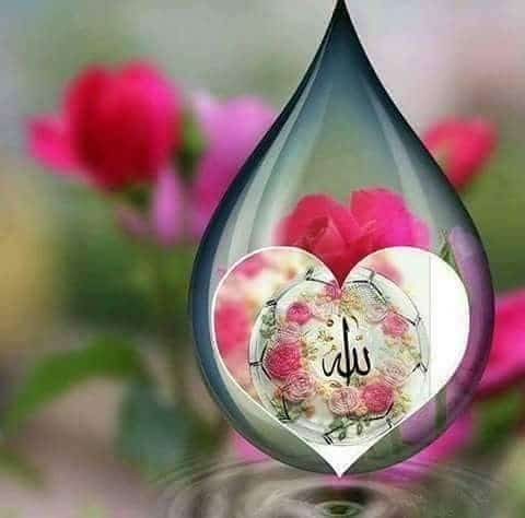 اسم الله مكتوب بالورد1