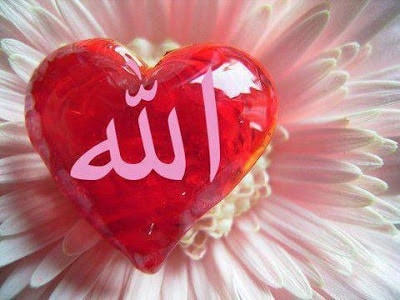 اسم الله مكتوب بالورد2