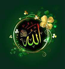 اسم الله مكتوب بالورد3