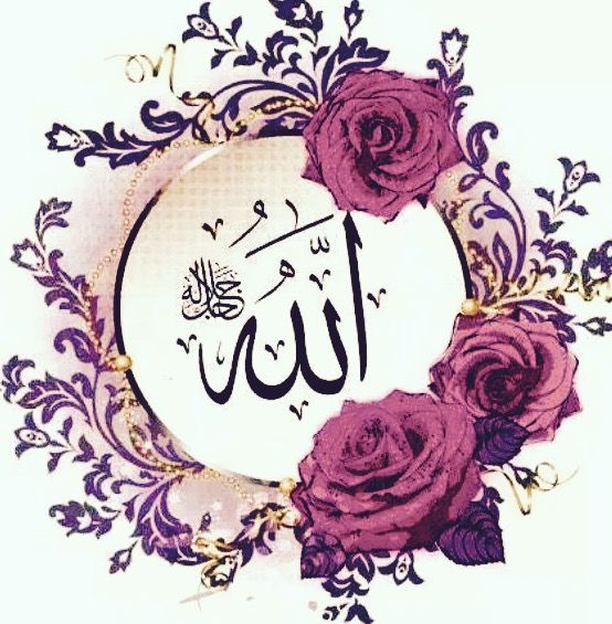 اسم الله مكتوب بالورد5