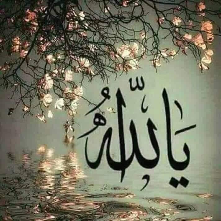 اسم الله مكتوب بالورد6
