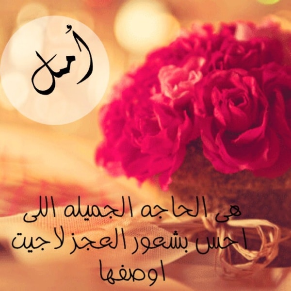 بوستات عن اسم امل2