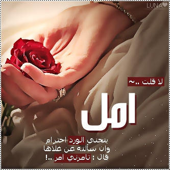 بوستات عن اسم امل3