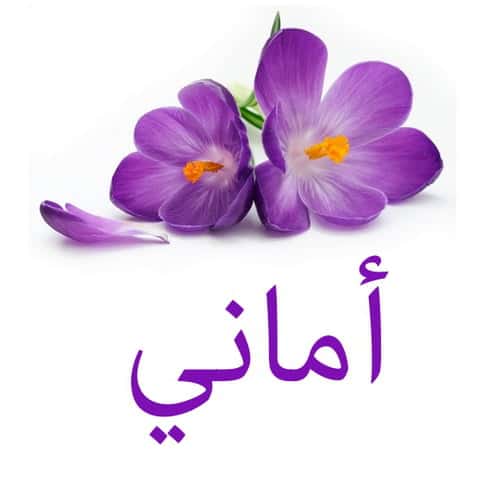 بوستات باسم اماني2