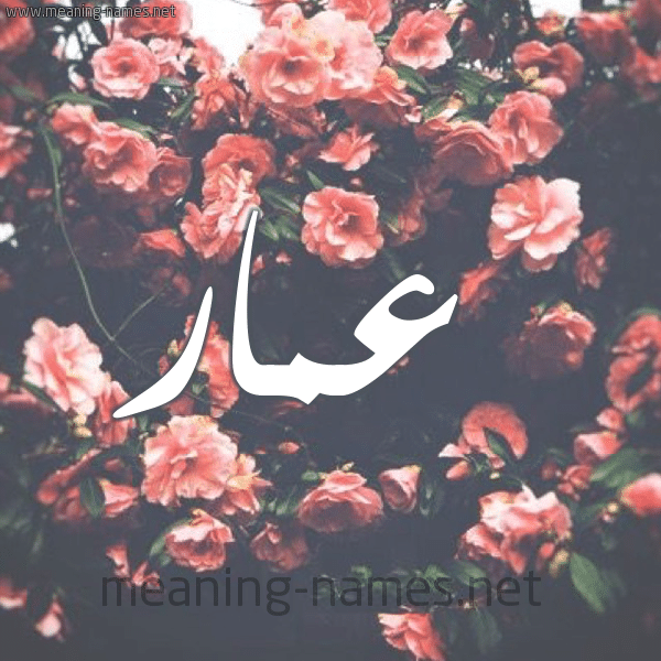 اسم عمار مكتوب بالورد1