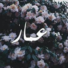 اسم عمار مكتوب بالورد2
