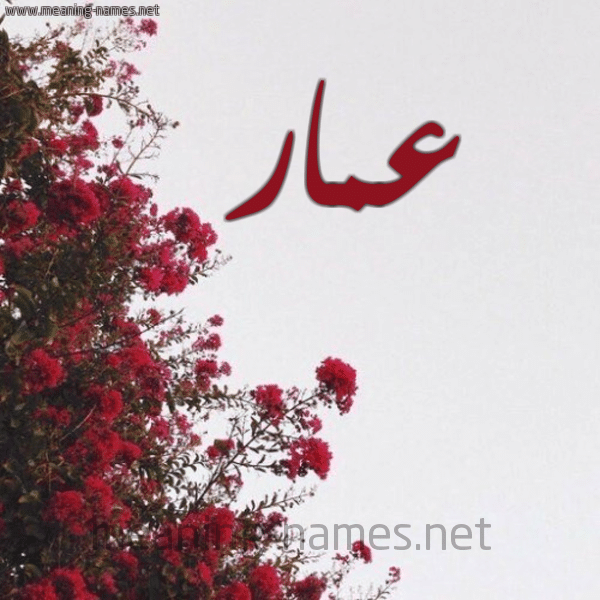 اسم عمار مكتوب بالورد4