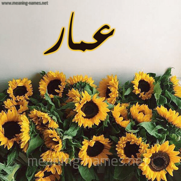 اسم عمار مكتوب بالورد5