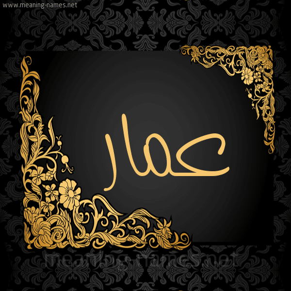 ماهو دلع اسم عمار