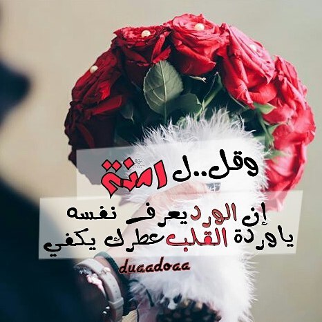 شعر باسم امنة