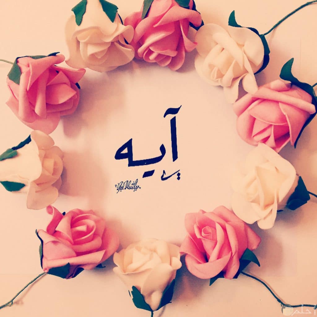 صورجميلة مكتوب عليها اسماء بنات 2