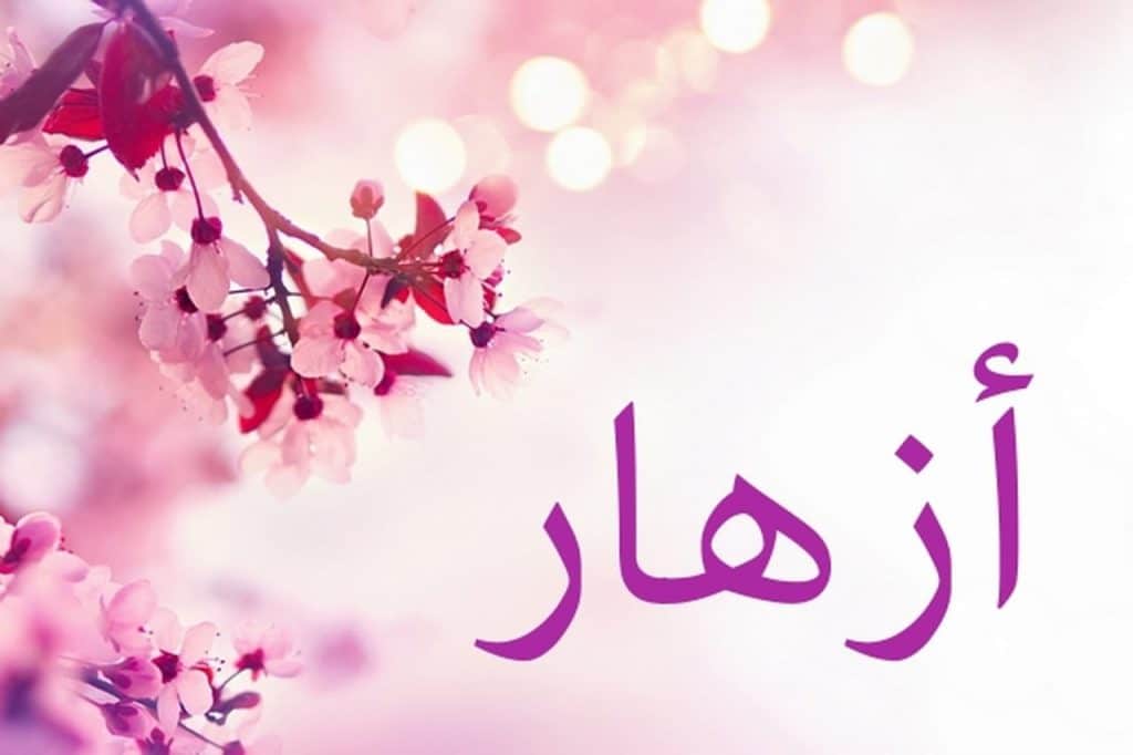 صورجميلة مكتوب عليها اسماء بنات 3