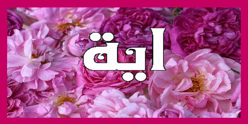 اسم ايه بالصور3