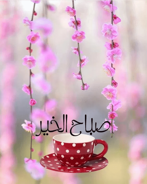 بطاقات صباح الخير للاصدقاء1