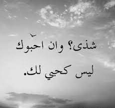بيسيات عن شذى3
