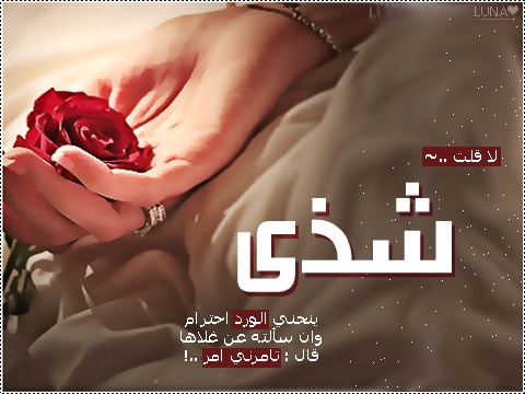 بيسيات عن شذى2