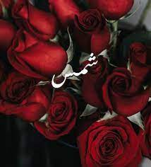 اجمل الصور عن اسم شمس5