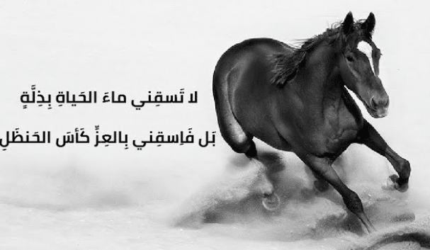 شعر عن الهيبة والشموخ -  شعر وصف الرجاجيل