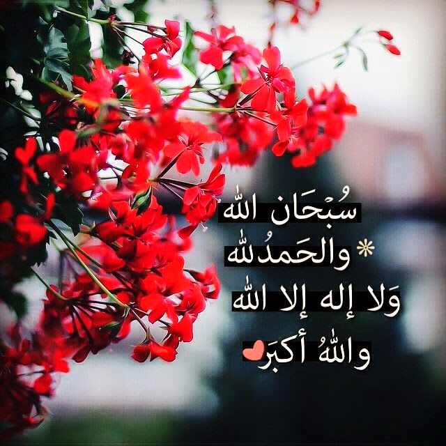صورجميلة مكتوب عليها كلام الله3