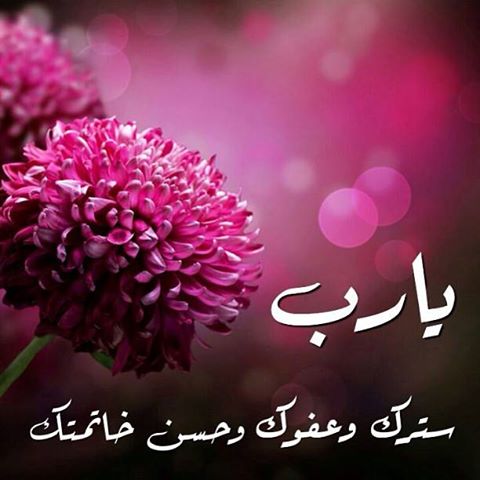 خلفيات موبايل دينية للنساء3