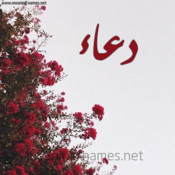 حكم التسمية باسم دعاء