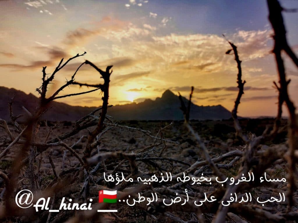 شعر عن غروب الشمس تويتر 5