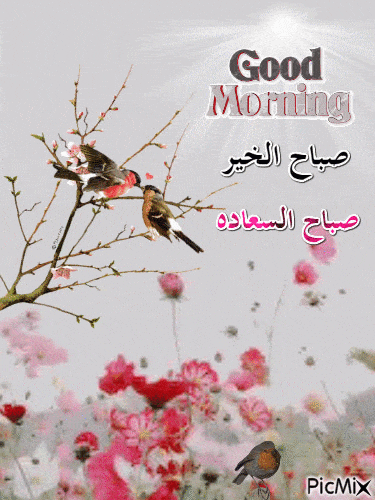 صباح الخير GIF 2021 4