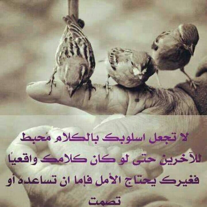 اجمل حالات واتس اب5