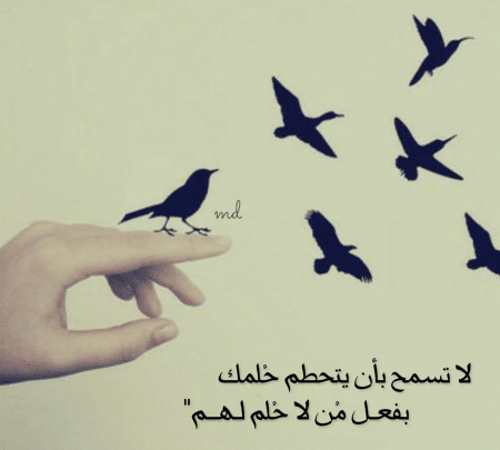 حالات واتس اب جديدة3