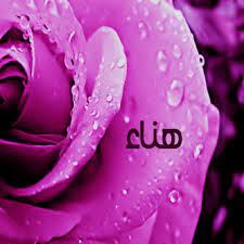 اسم هناء مكتوب بالورد2
