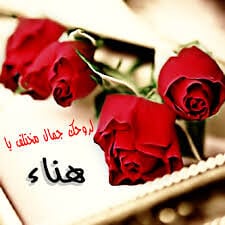 اسم هناء مكتوب بالورد3