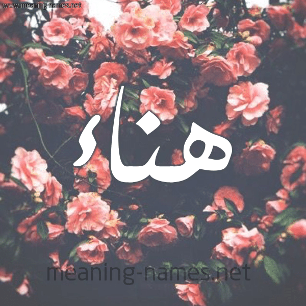 اسم هناء مكتوب بالورد4