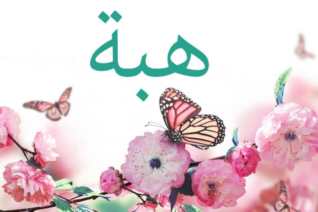 رمزيات اسم هبة2
