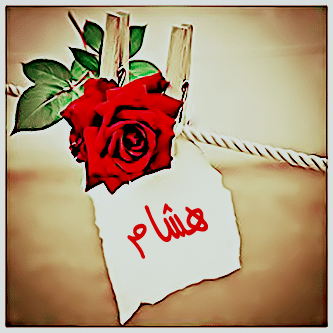 اسم هشام مكتوب بالورد2