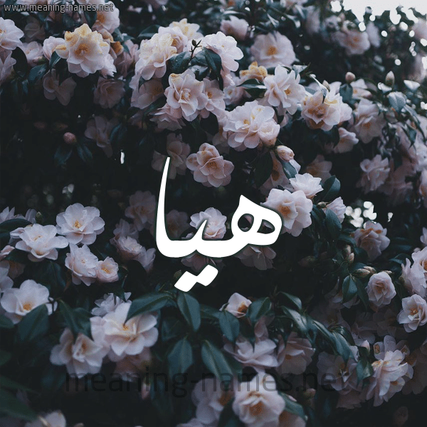 اسم هيا بالورد5